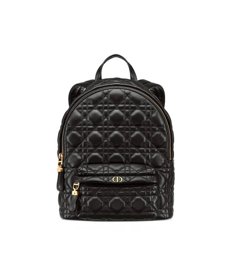 SMALL DIOR BACKPACK