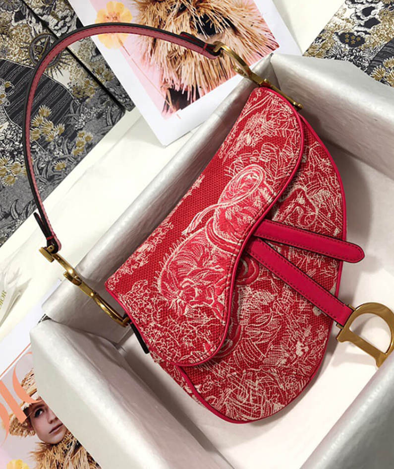 Dior SADDLE BAG