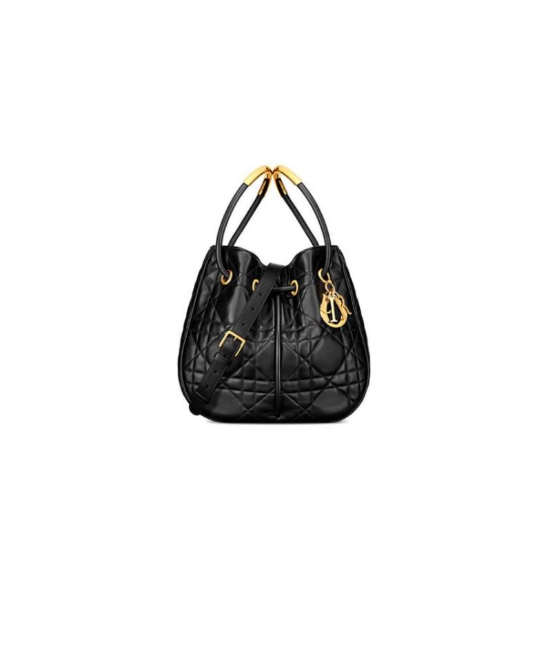 Large Dior Nolita Bag