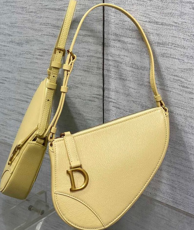 Dior Saddle Rodeo Pouch