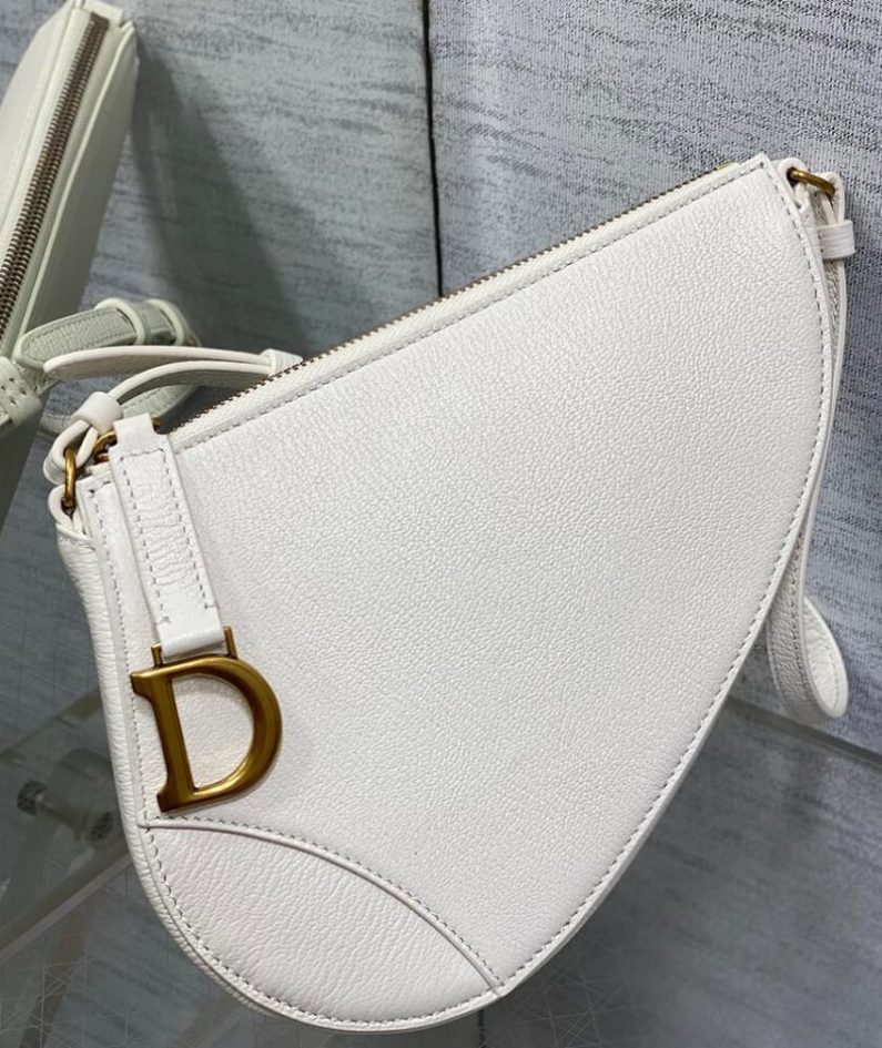 Dior Saddle Rodeo Pouch