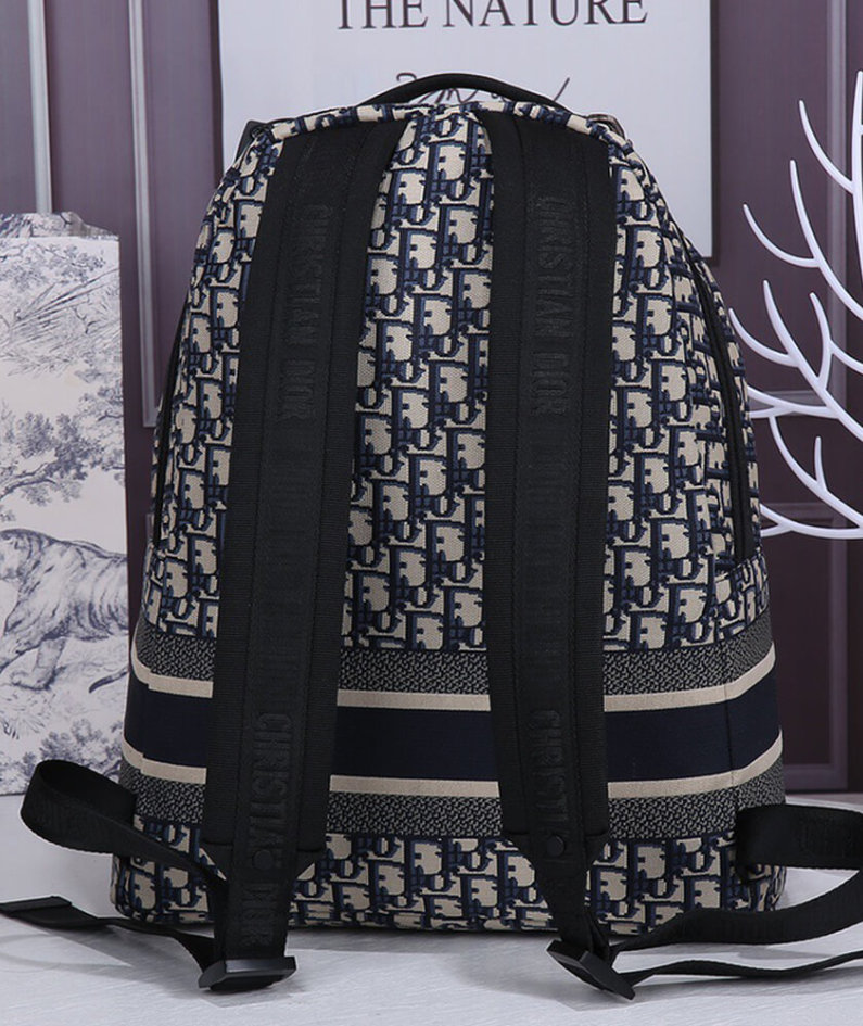 DIORTRAVEL BACKPACK