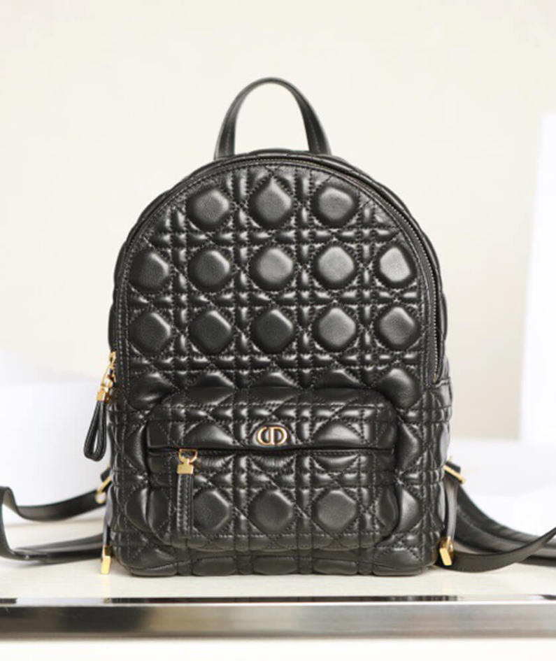 SMALL DIOR BACKPACK