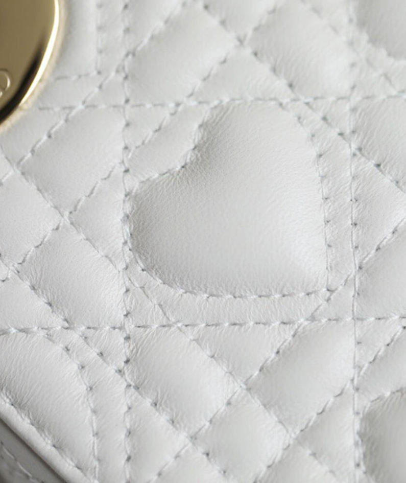 MINI LADY DIOR DIORAMOUR BAG