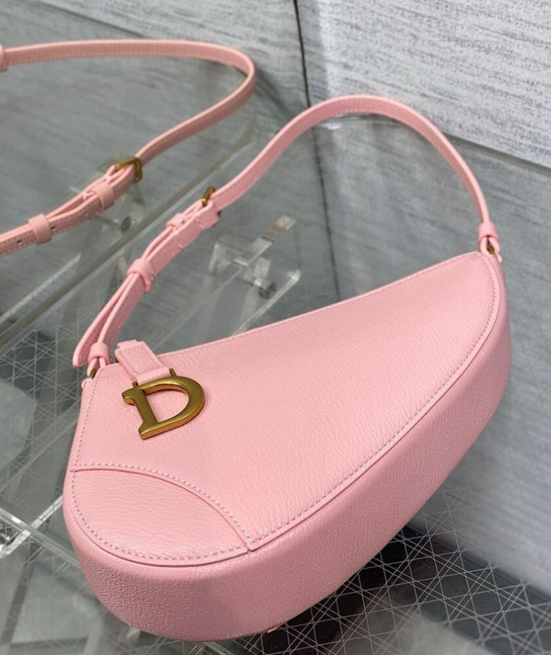 Dior Saddle Rodeo Pouch