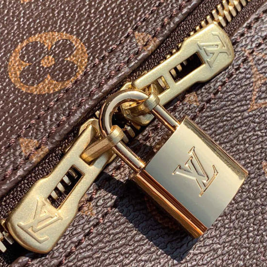 LV Speedy Bandouliere 30 Handbag LV Speedy Bandouliere 30 Handbag