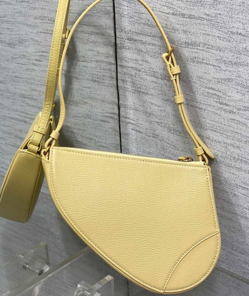 Dior Saddle Rodeo Pouch