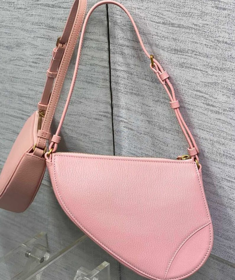 Dior Saddle Rodeo Pouch