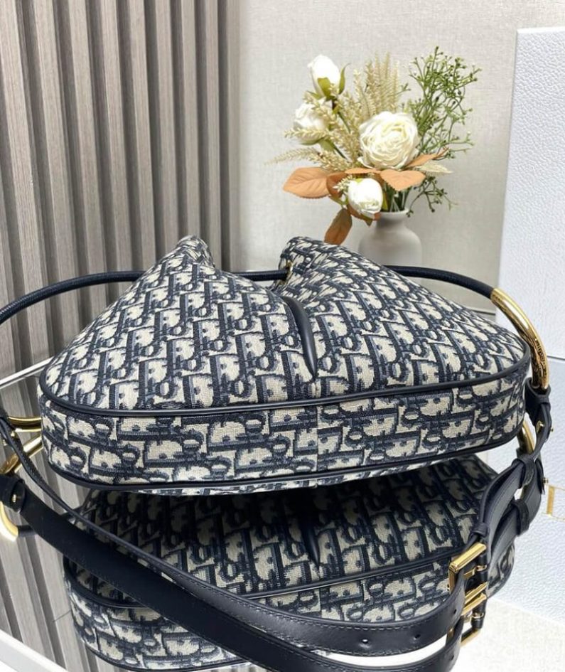 Large Dior Nolita Bag
