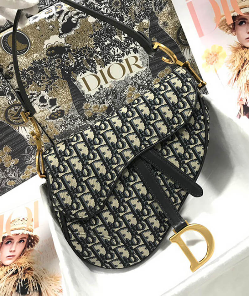 Dior SADDLE BAG