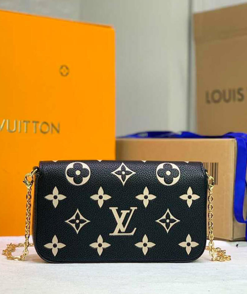 Louis Vuitton Felicie pochette bag
