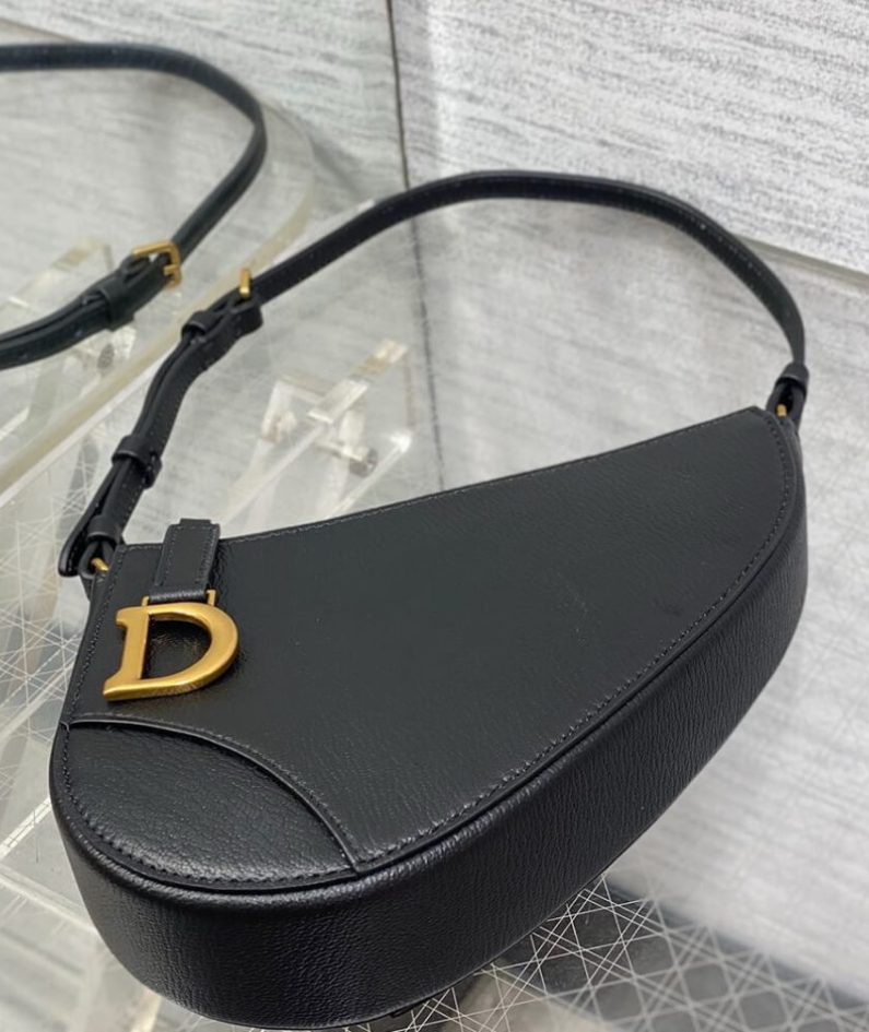 Dior Saddle Rodeo Pouch