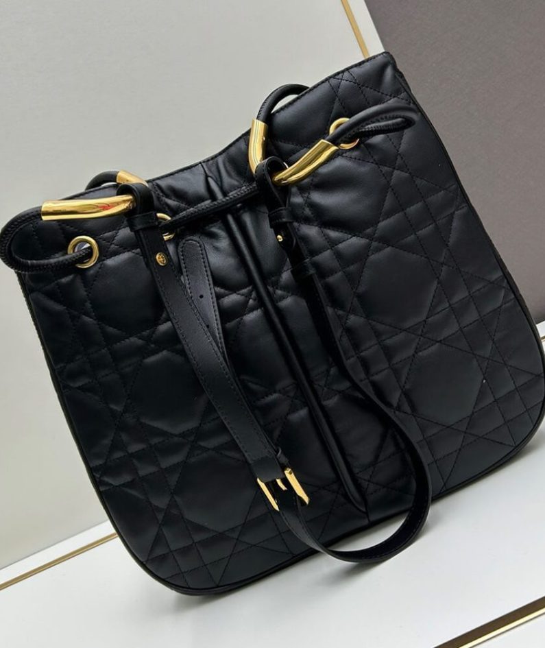 Large Dior Nolita Bag