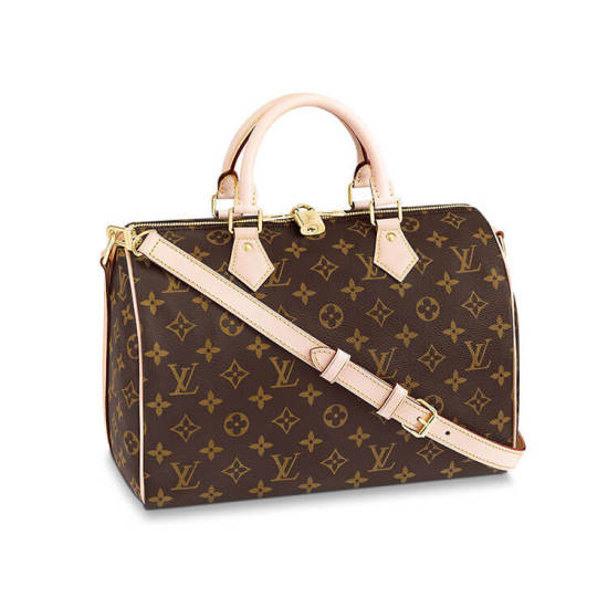 LV Speedy Bandouliere 30 Handbag LV Speedy Bandouliere 30 Handbag