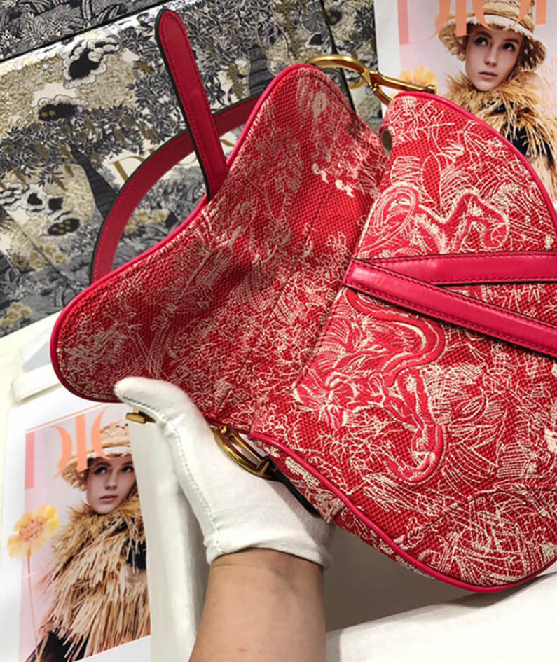 Dior SADDLE BAG