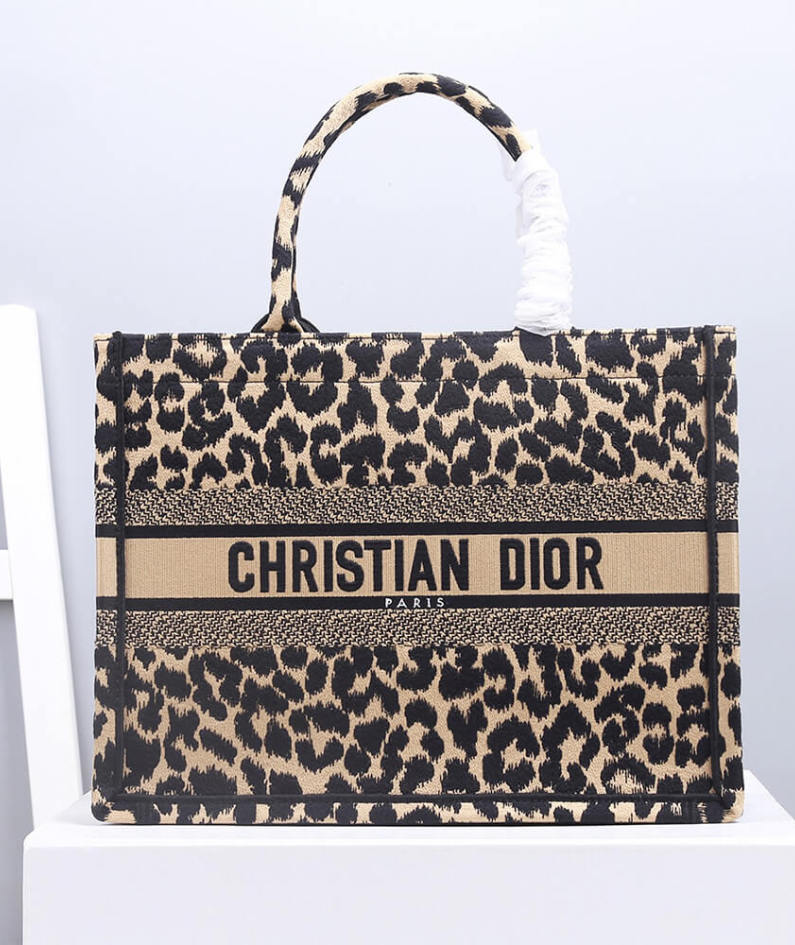SMALL DIOR BOOK TOTE