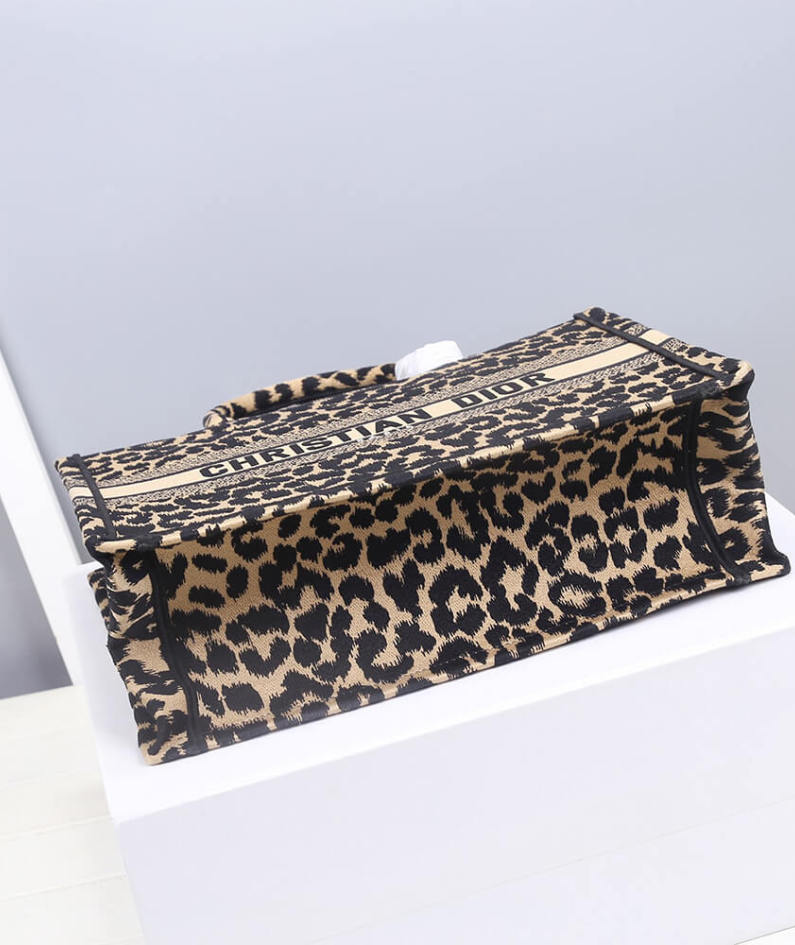SMALL DIOR BOOK TOTE