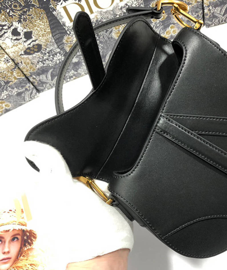 Dior MINI SADDLE BAG