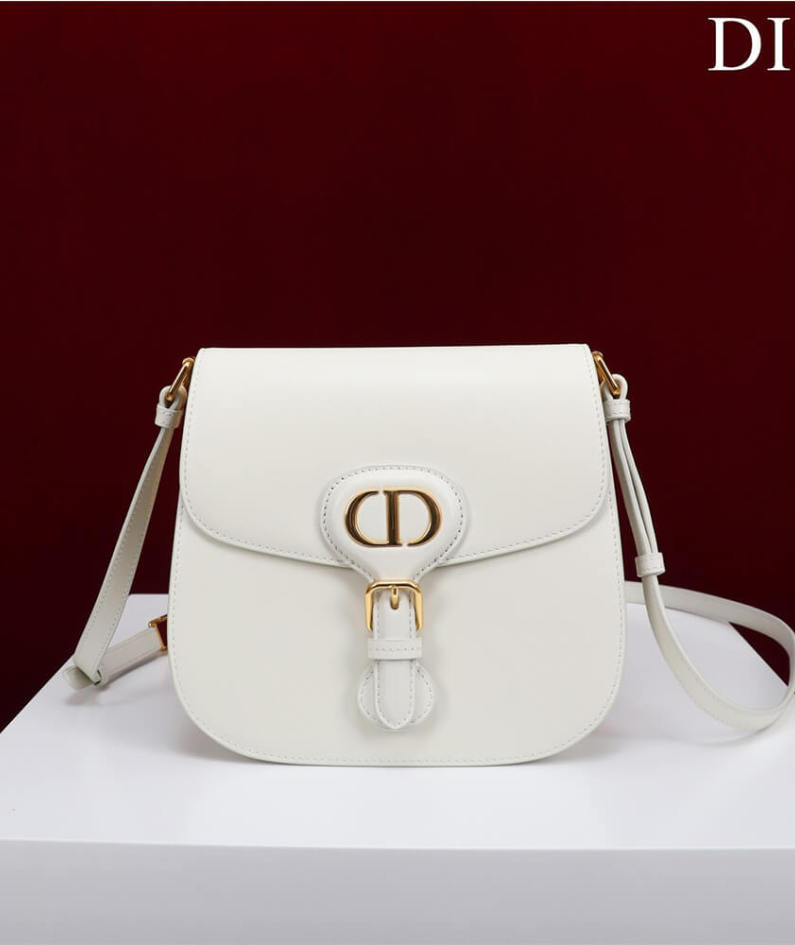 DIOR BOBBY FRAME BAG