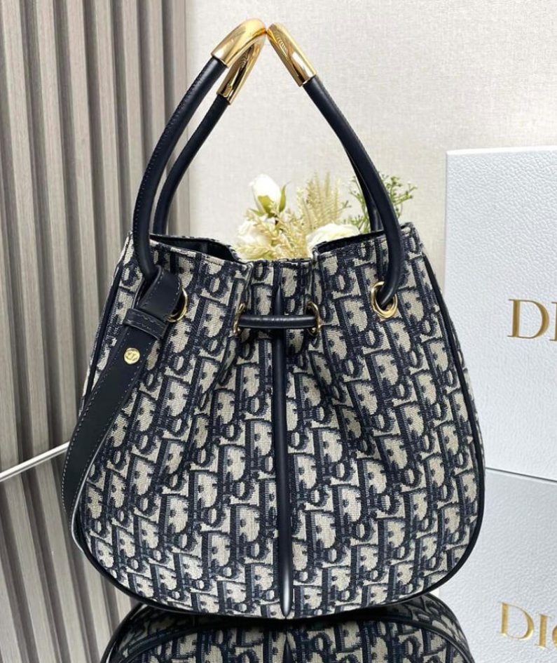 Medium Dior Nolita Bag