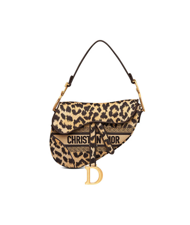 Dior SADDLE BAG