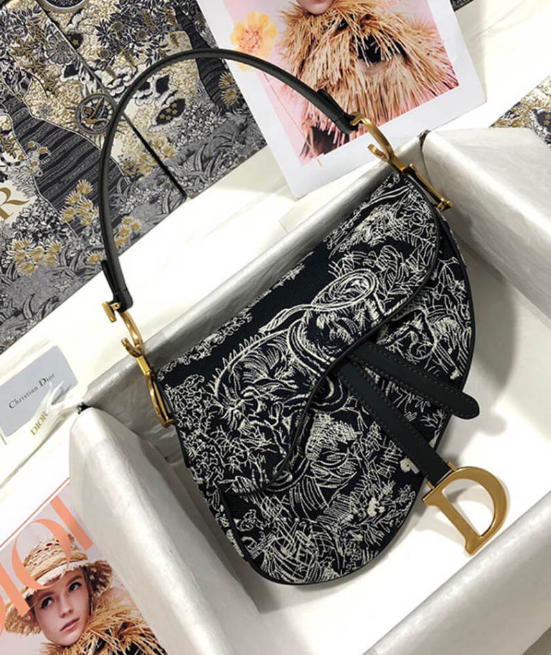 Dior SADDLE BAG