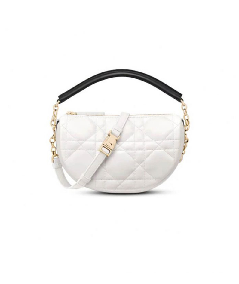 SMALL DIOR VIBE HOBO BAG