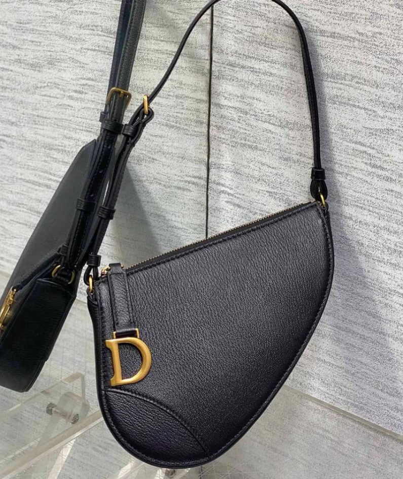 Dior Saddle Rodeo Pouch