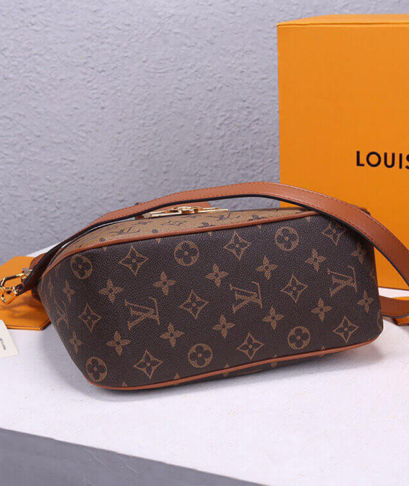 LV Hobo Dauphine PM Handbag