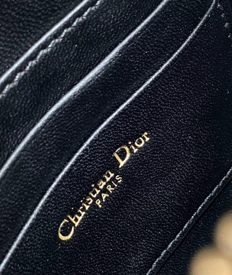Dior Saddle Rodeo Pouch