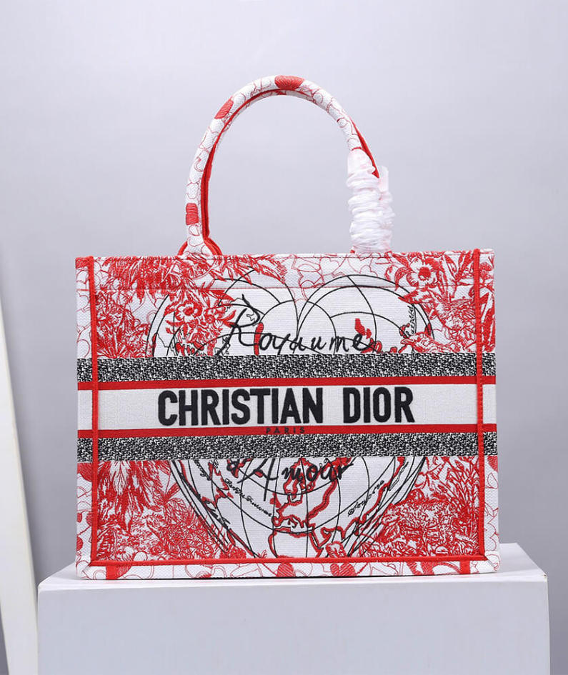 SMALL DIOR BOOK TOTE