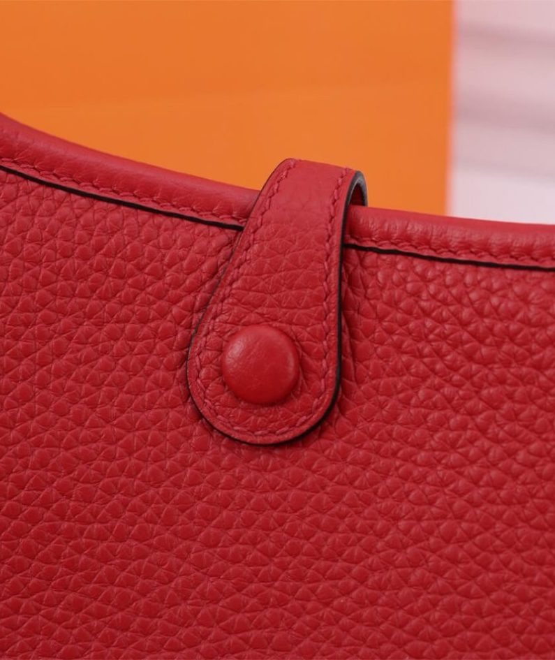 Hermes Evelyne 16