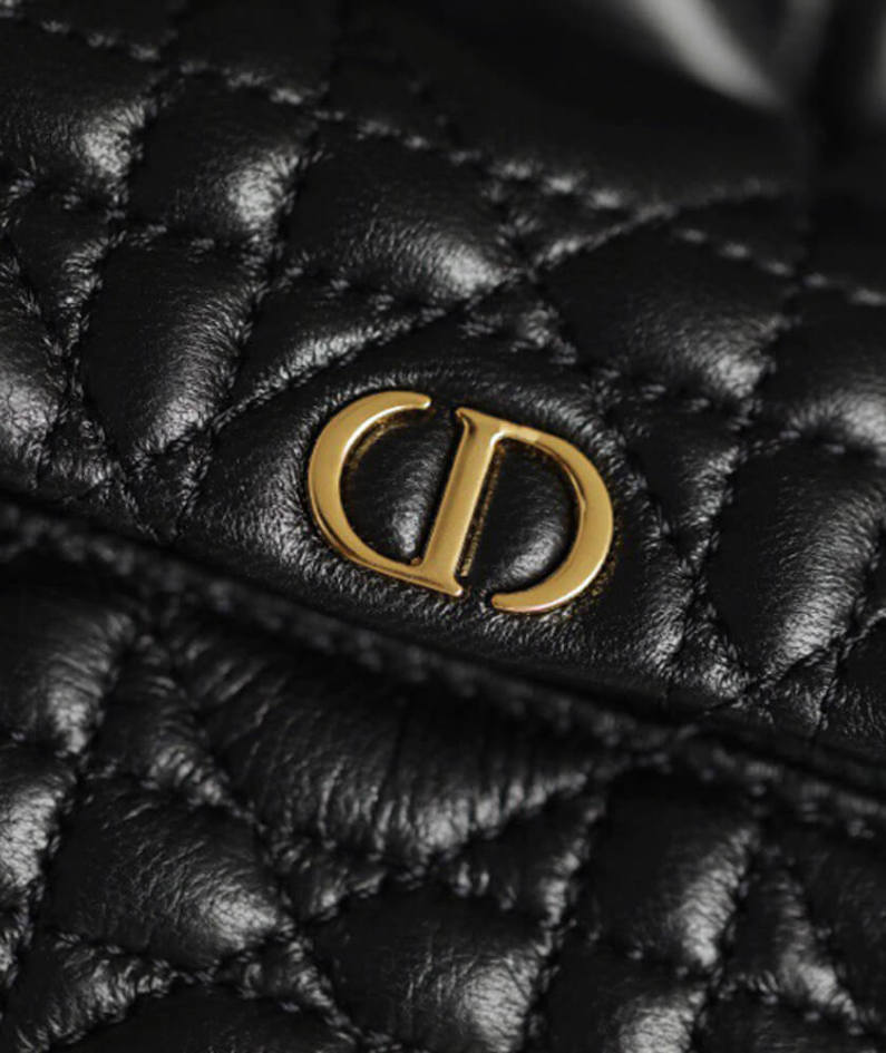 SMALL DIOR BACKPACK
