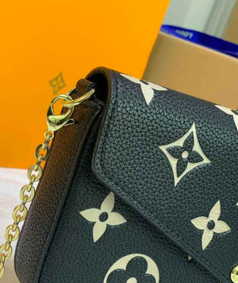 Louis Vuitton Felicie pochette bag