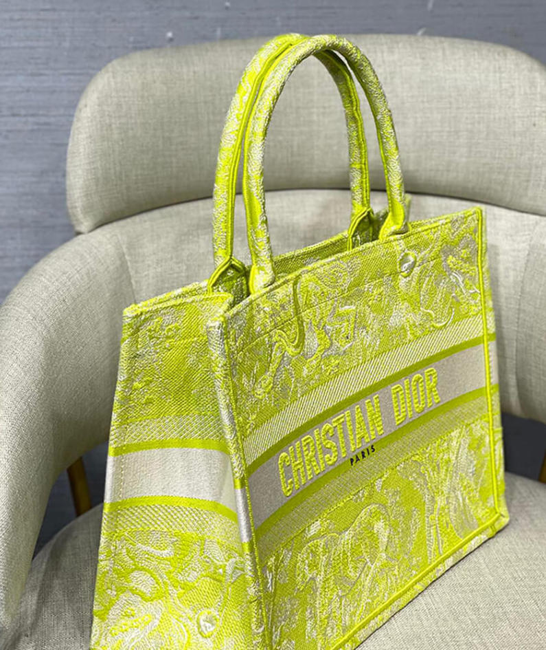 SMALL DIOR BOOK TOTE