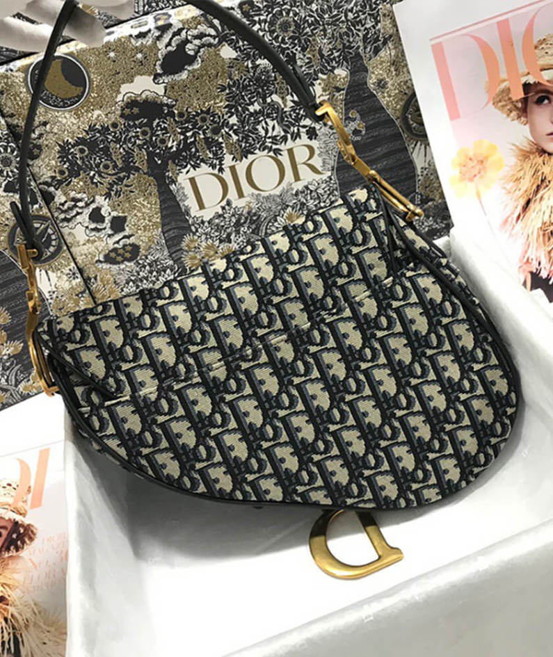 Dior SADDLE BAG