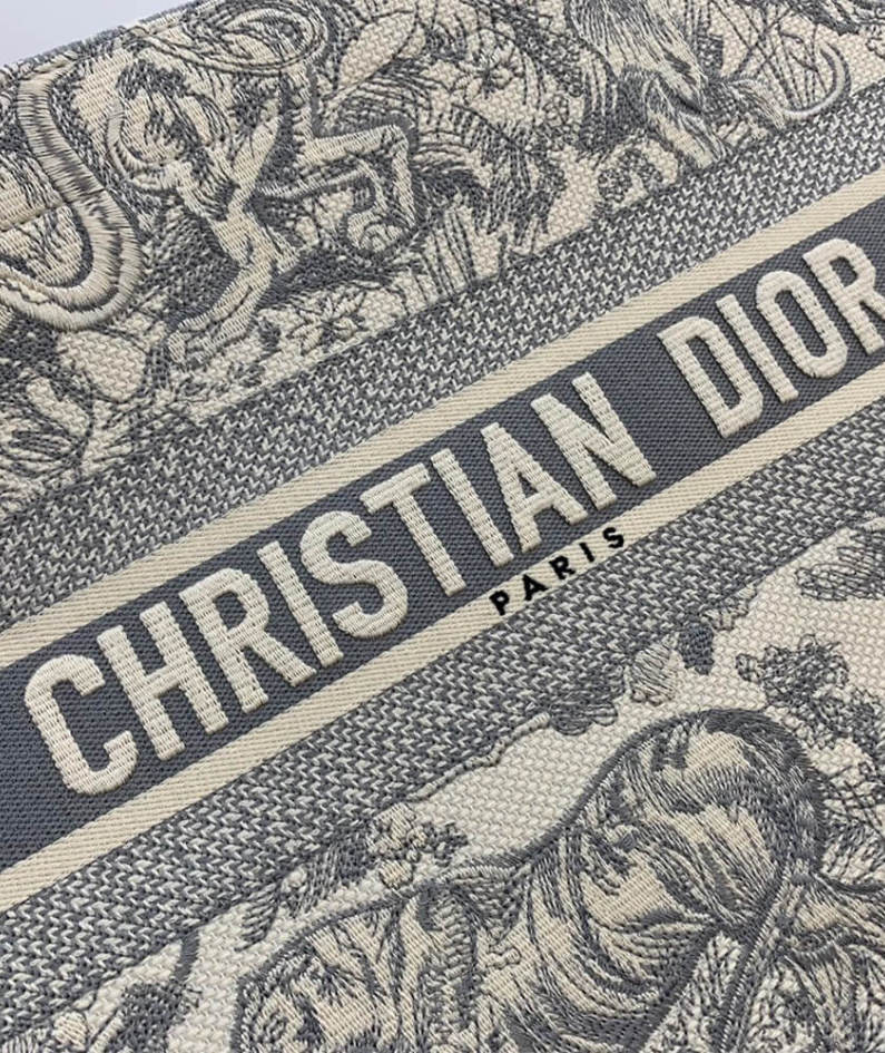 SMALL DIOR BOOK TOTE