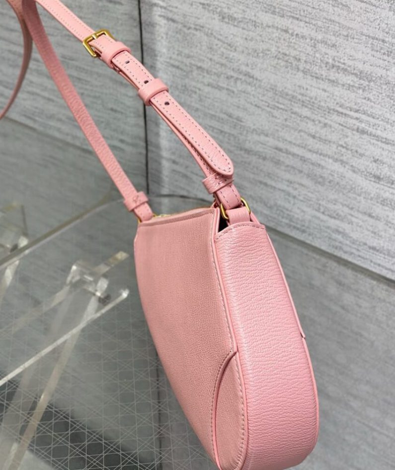 Dior Saddle Rodeo Pouch