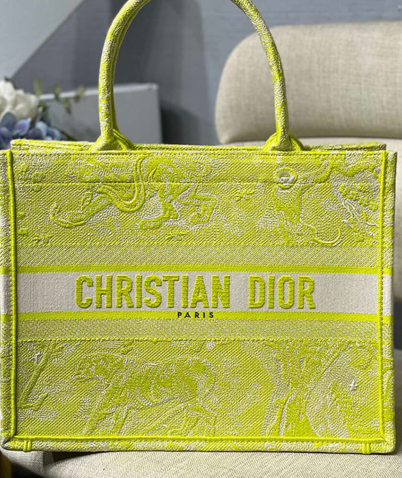 SMALL DIOR BOOK TOTE