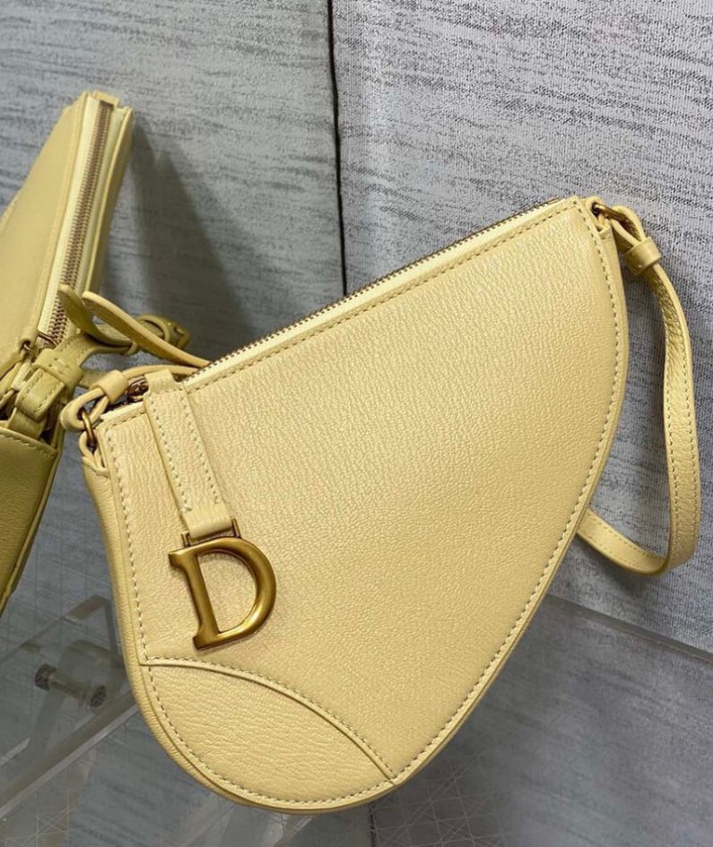 Dior Saddle Rodeo Pouch
