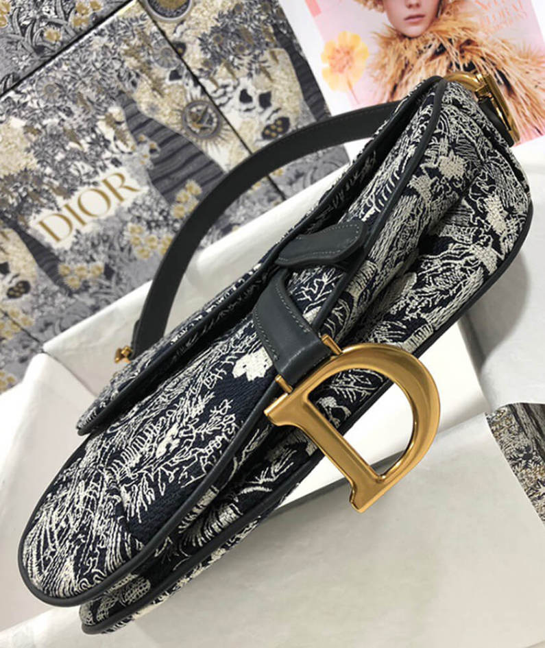 Dior SADDLE BAG