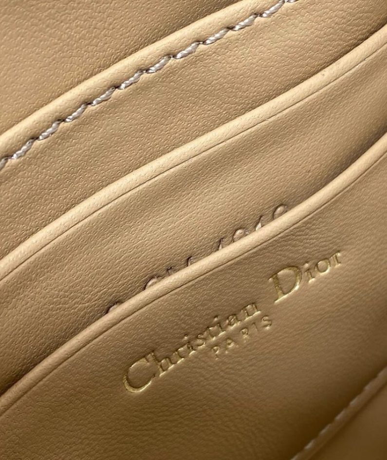 Dior Saddle Rodeo Pouch