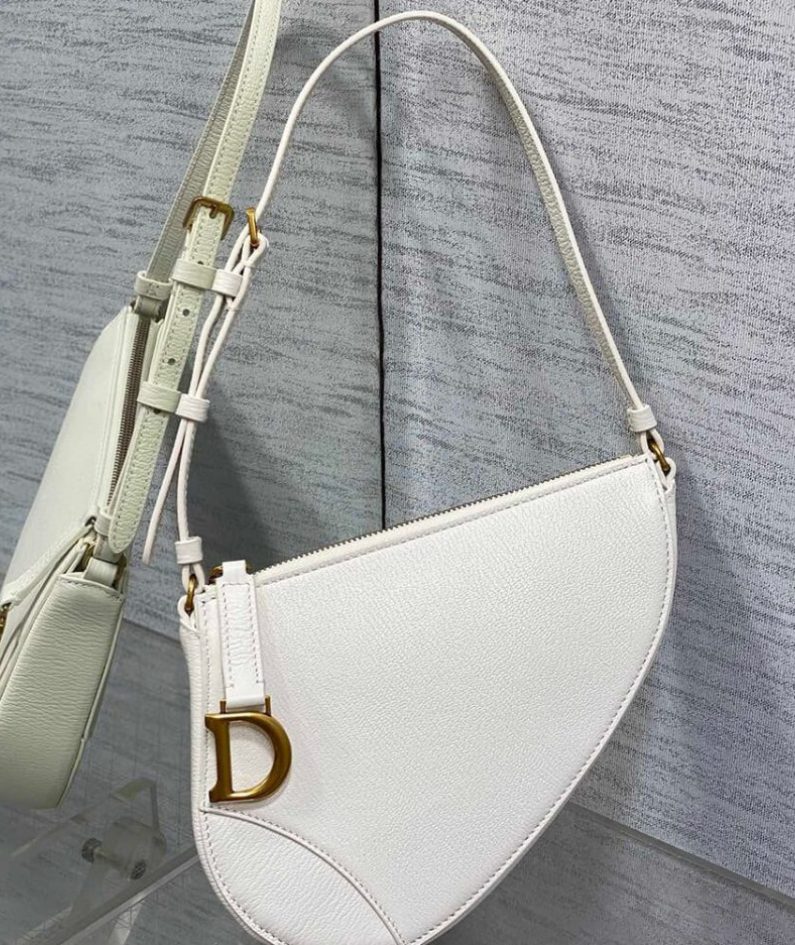Dior Saddle Rodeo Pouch