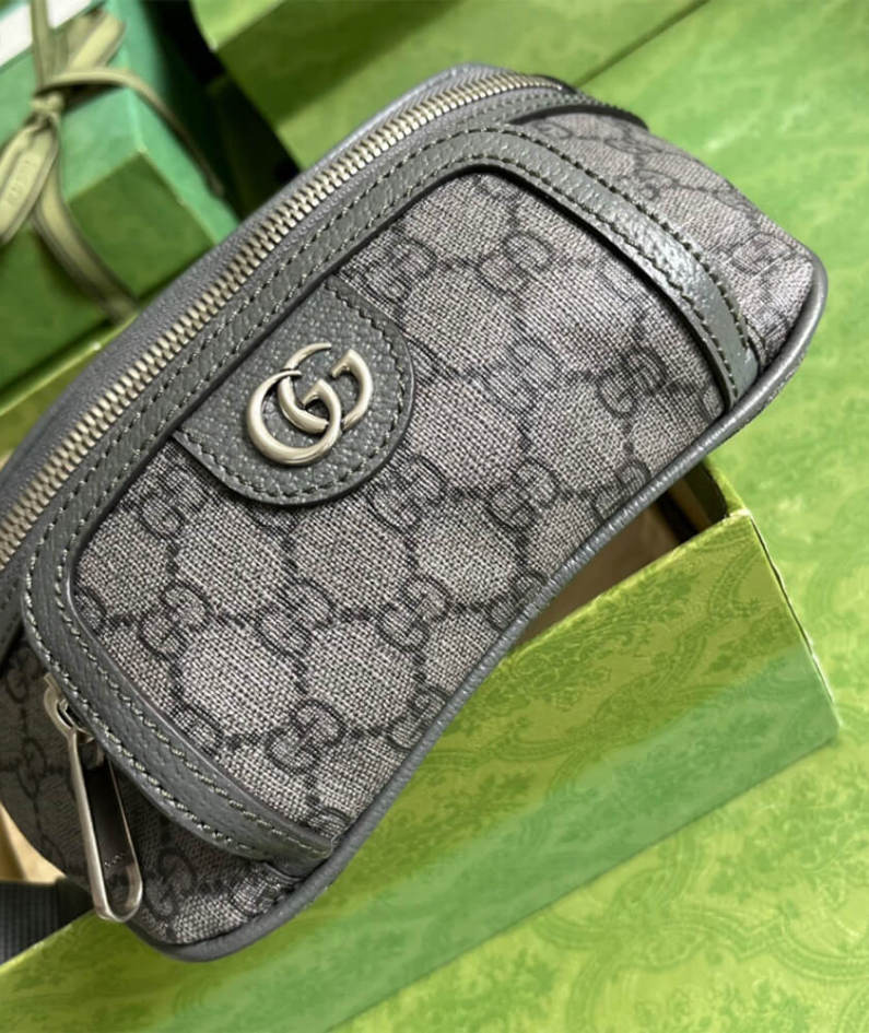 Ophidia belt bag