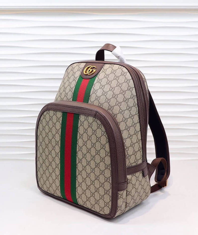 Ophidia GG medium backpack
