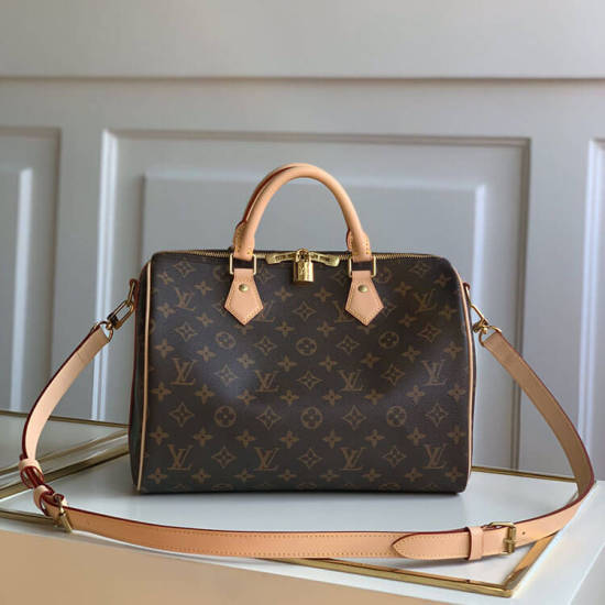 LV Speedy Bandouliere 30 Handbag LV Speedy Bandouliere 30 Handbag