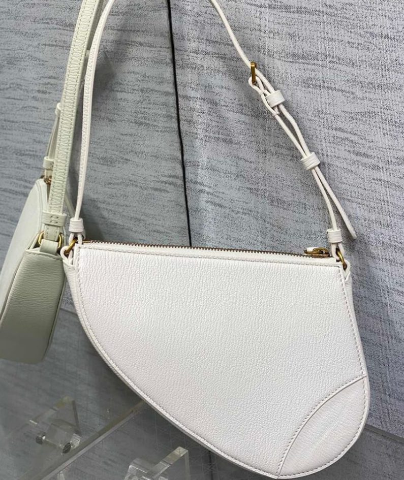 Dior Saddle Rodeo Pouch