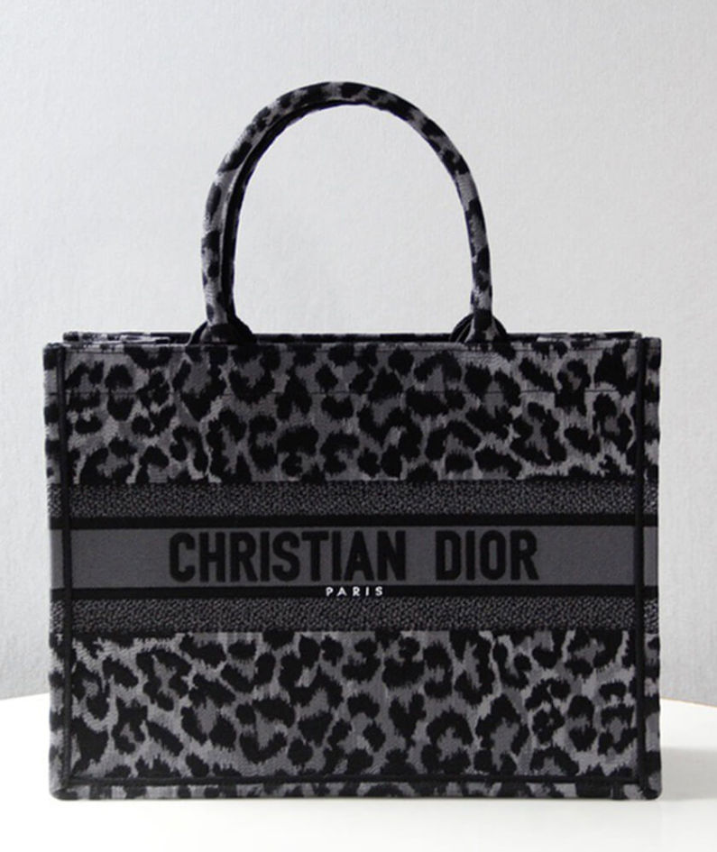 SMALL DIOR BOOK TOTE