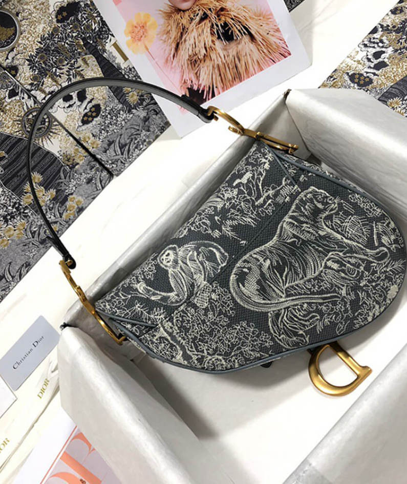 Dior SADDLE BAG