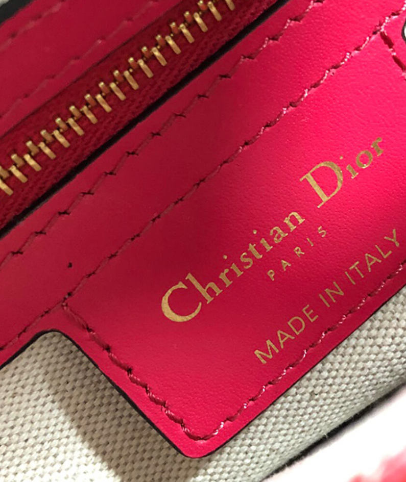 Dior SADDLE BAG